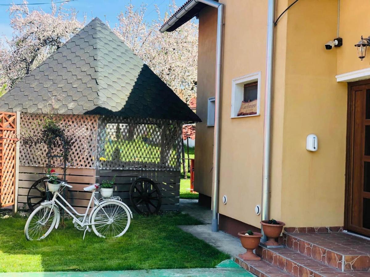 Casa Ardeleana Ucea 호텔 Ucea de Sus 외부 사진